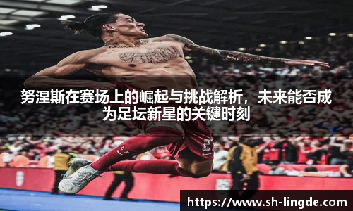 努涅斯在赛场上的崛起与挑战解析，未来能否成为足坛新星的关键时刻