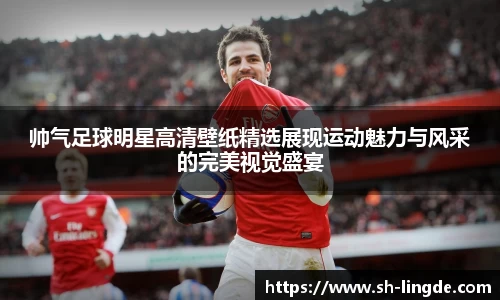 帅气足球明星高清壁纸精选展现运动魅力与风采的完美视觉盛宴