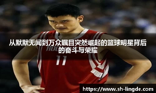 必一运动bsports体育